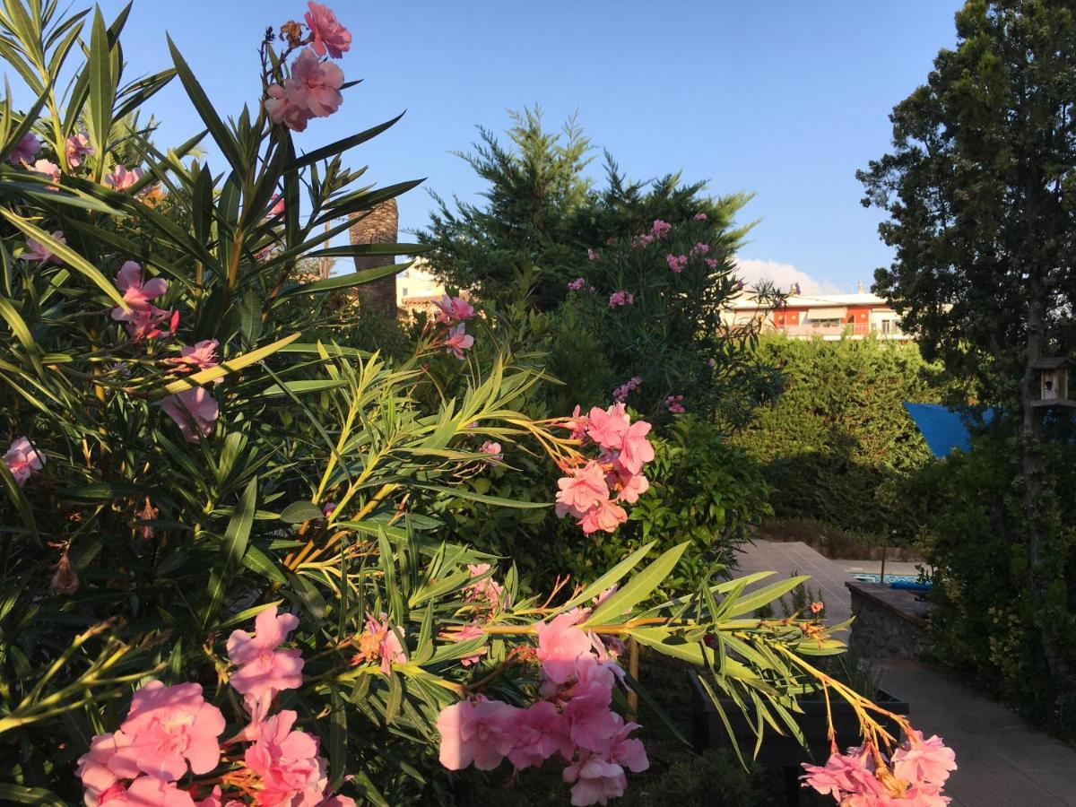 Villa Alessia Antibes Dış mekan fotoğraf
