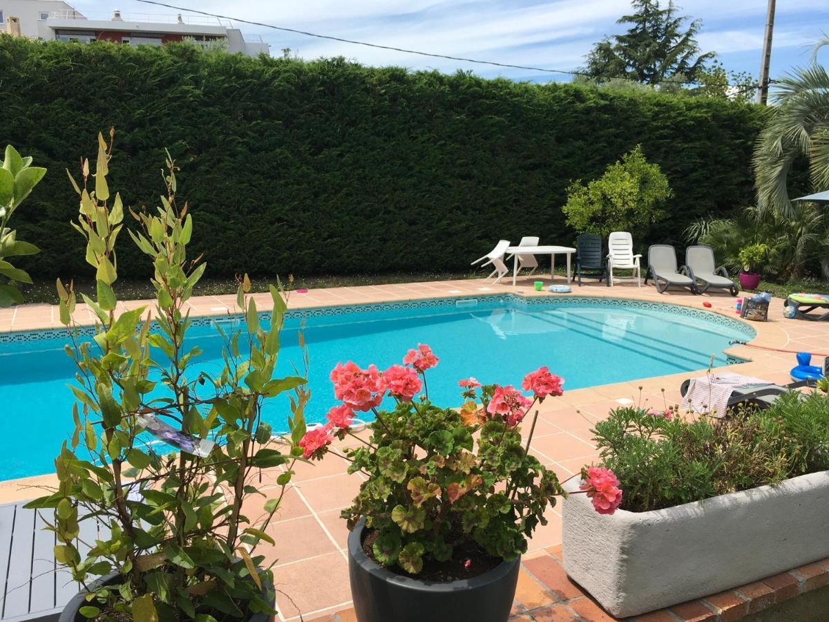Villa Alessia Antibes Dış mekan fotoğraf