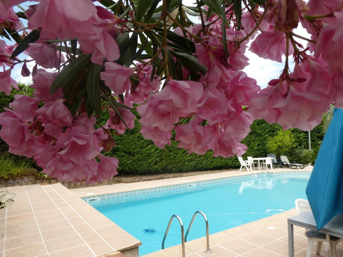 Villa Alessia Antibes Dış mekan fotoğraf